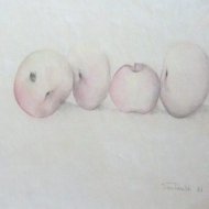La mosca nella mela  acquerello    1987