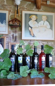 _tenute_santarelli